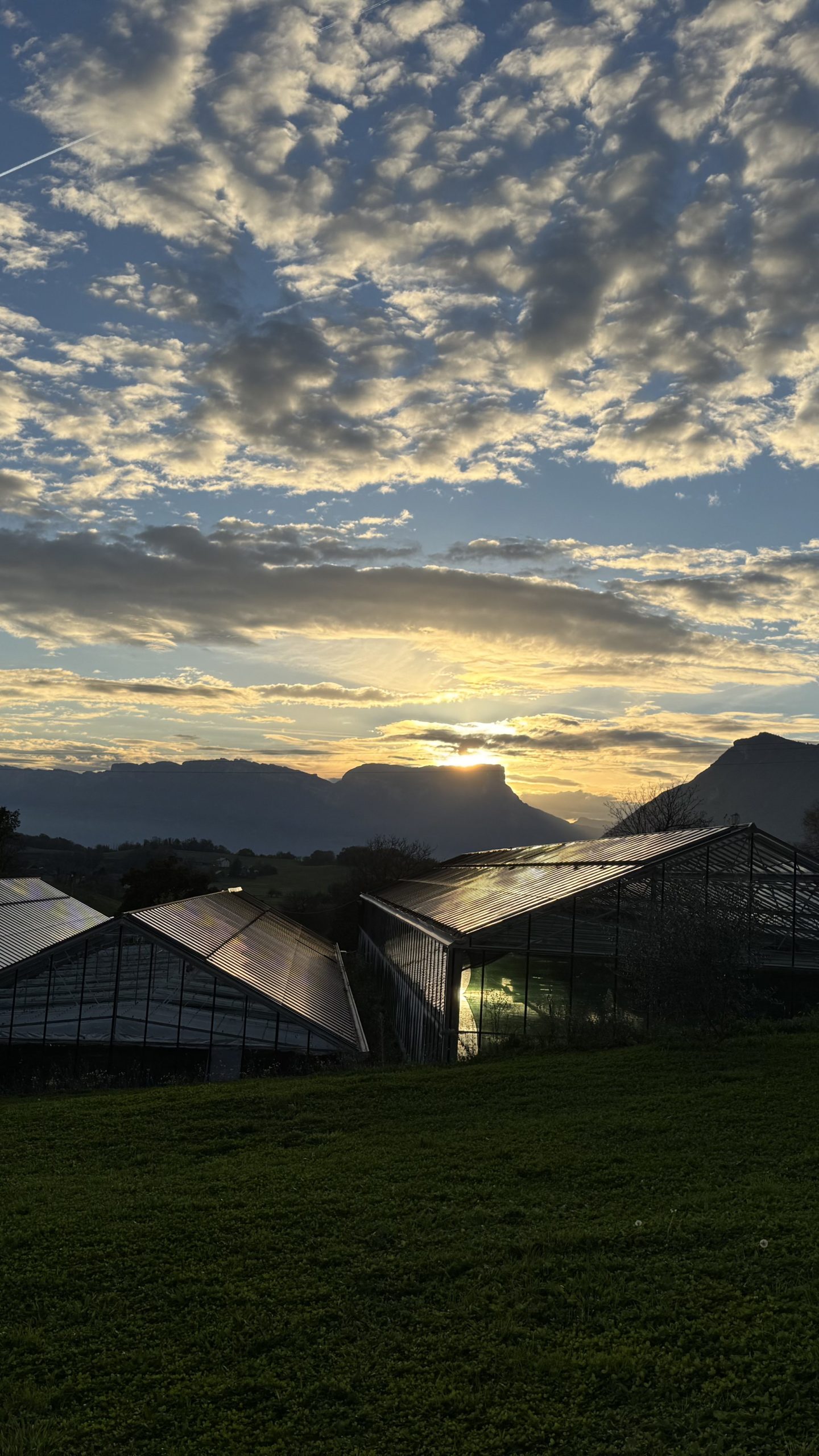 Ferme de spiruline en Combe de Savoie au coucher de soleil