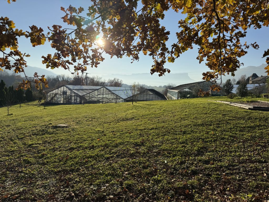Ferme de spiruline en Combe de Savoie, culture de spiruline sous les serres aquacoles