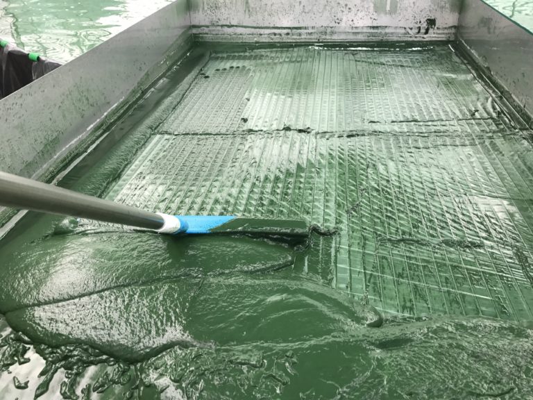 Récolte de spiruline