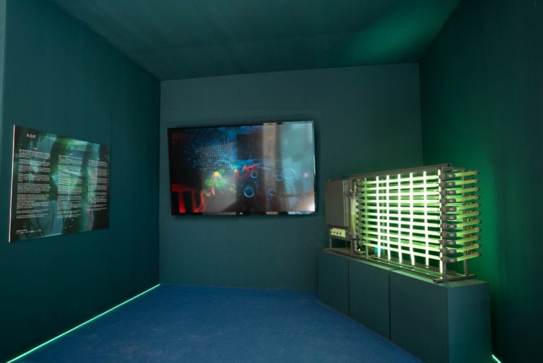 Exposition à Valencia,  » la vie secrète des micro algues »