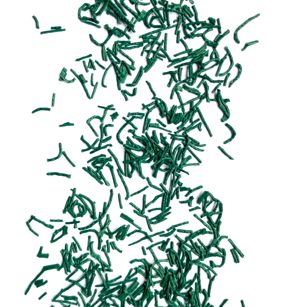 Spiruline bio en brindilles produite en Savoie