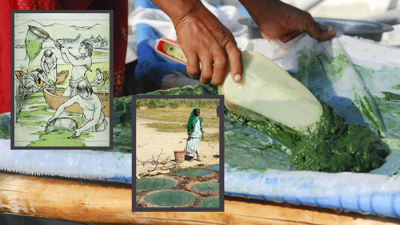 récolte de spiruline par les aztèques et au Tchad 